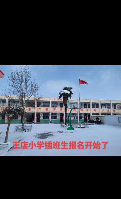 丰店镇王店中心小学