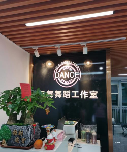 德钦县启韵舞蹈培训有限责任公司