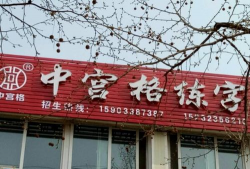 秦皇岛市抚宁区中宫格培训学校有限公司