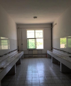 安泽县和川镇和川中学环境