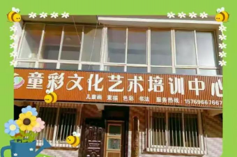 萍乡市童彩艺术培训中心有限公司