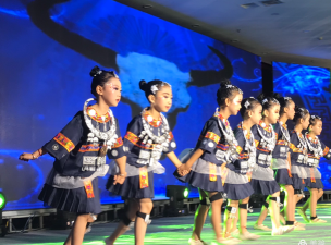 徽县舞之灵艺术培训有限公司