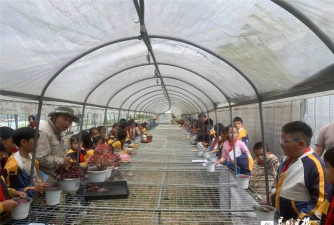 盘龙区双龙中心学校