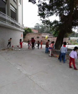 茂名市电白区旦场镇金村小学