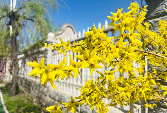 平阴县李沟乡胡坡村幼儿园