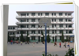 荔城区麟峰小学