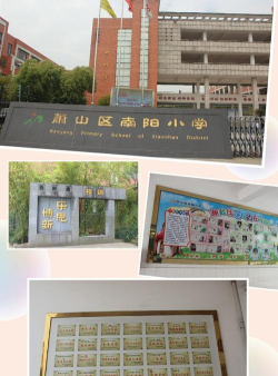 萧山区南阳镇小学