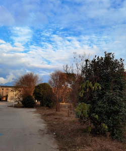 萍乡市大风车艺术培训有限公司赤山分公司