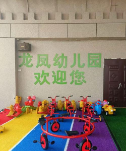 龙凤幼儿园