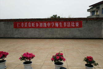 仁寿县农旺乡初级中学