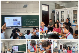 新昌县镜岭镇镜屏中心完小