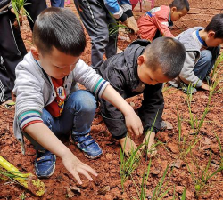 宜宾县隆兴乡中心幼儿园