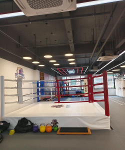 新乡市红旗区大白鲨体育培训有限公司