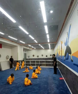 隆回县雏鹰武术培训学校有限公司