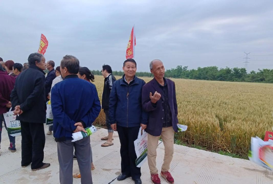 长安区炮里乡初级中学