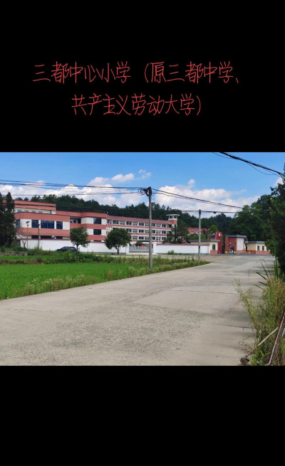 松阳县三都乡中心小学