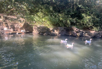 广西灵山兰亭文化艺术有限公司