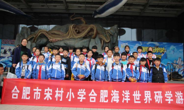 合肥市宋村小学