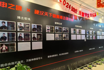 江苏武林风体育运动有限公司