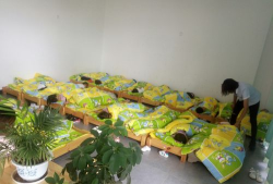 郫县郫筒镇罗静幼儿园