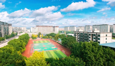 成都石室佳兴外国语学校