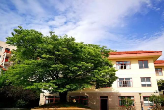 青岛市实验小学