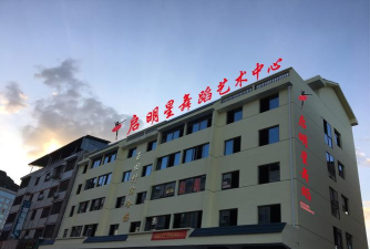 大田县启明星艺术培训学校有限公司