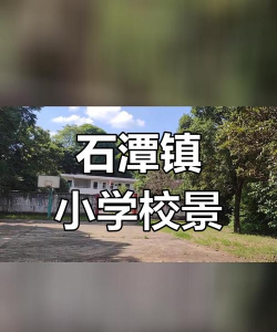 清远市清新区石潭镇中和小学
