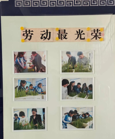 龙井市老头沟镇细鳞河学校