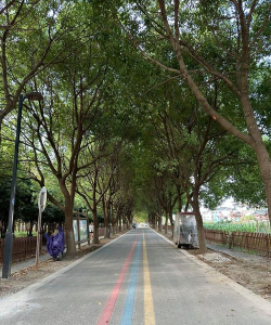 广宁县小风车艺术有限公司