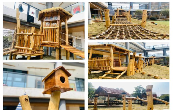 新泰市天宝镇槐林幼儿园