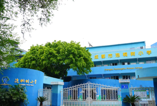 成都市泡桐树小学(境界校区)