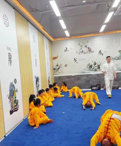 资阳市雁江区嵩海武术培训学校有限责任公司