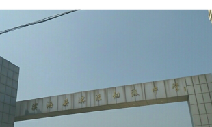 滨海县滨淮初级中学