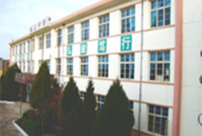 淳化县铁王乡初级中学