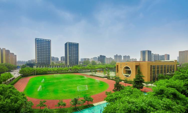 杭州保俶塔申花实验学校