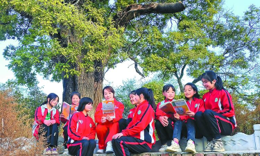 落卜镇大树小学