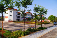 蒲城县洛滨镇西头初级中学