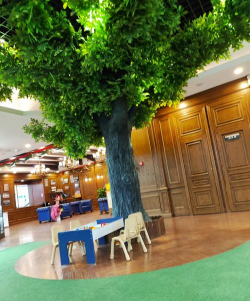 沈阳市沈河区星梦教育培训中心