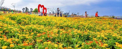 万州区甘宁中心小学黑马村小