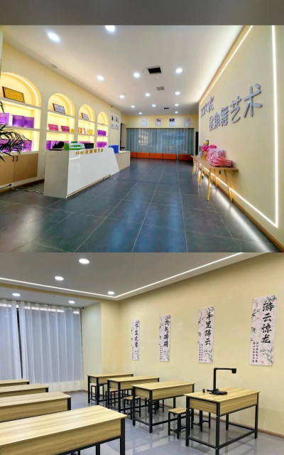 河源市高新区星期舞艺术教育培训有限公司