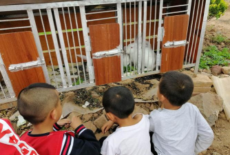 福安市上白石镇中心幼儿园