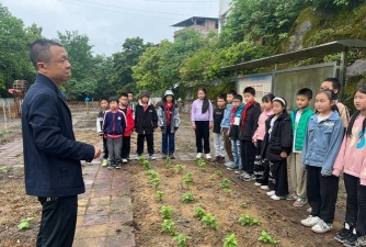 丰都县青龙乡中心小学校