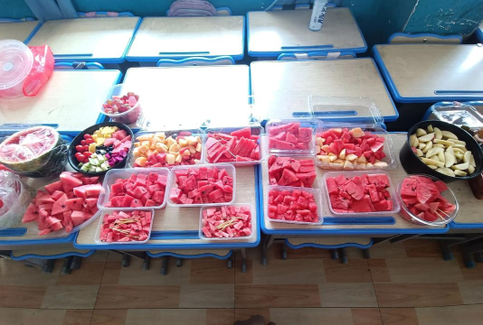 岳池县天平镇蒋山镇村私立幼儿、小学班