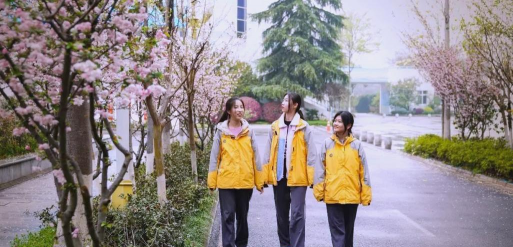 南川东城办南师附校