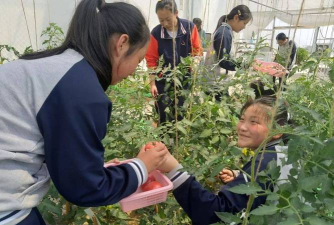 文登市张家产中学