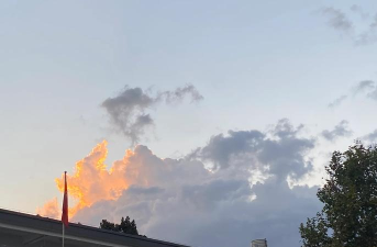 定西市奇艺树艺术培训学校有限公司