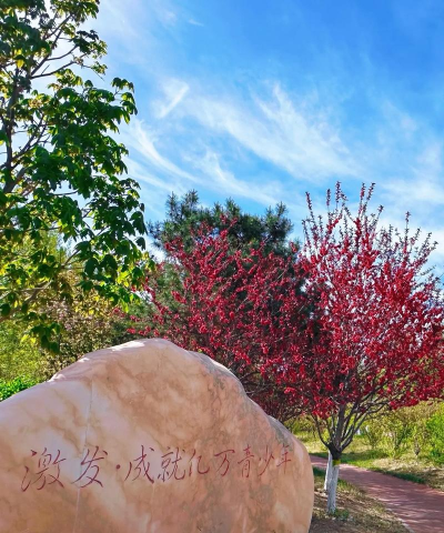 青岛市即墨区豆神文化培训学校有限公司