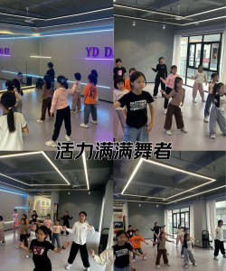 东莞市黄江舞飞翔培训中心有限公司