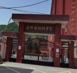 西峡县桑坪镇初级中学